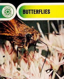 Butterflies (Nature Close-Ups Series)