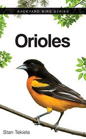 Orioles (Backyard Bird Series)