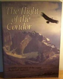 The Flight of the Condor: A Wildlife Exploration of the Andes