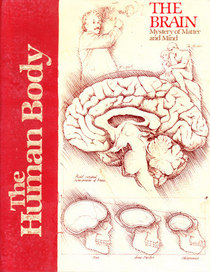 The brain, mystery of matter and mind (The Human body)