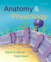 Anatomy & Physiology (6th Edition)