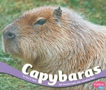 Capybaras (Pebble Plus)