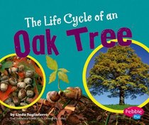 The Life Cycle of an Oak Tree (Pebble Plus)