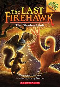 The Shadowlands: A Branches Book (The Last Firehawk #5)