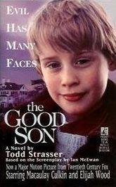 The Good Son