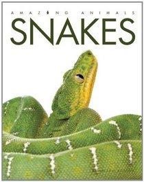 Amazing Animals: Snakes