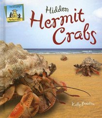 Hidden Hermit Crabs (Perfect Pets)