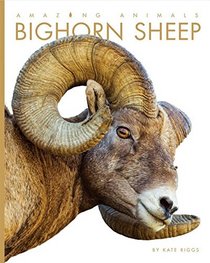 Bighorn Sheep (Amazing Animals)