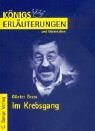 Im Krebsgang (German Edition)