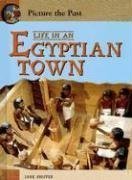 Life in an Egyptian Town (Picture the Past)