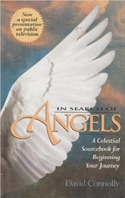 In Search of Angels: A Celestial Sourcebook for Beginning Your Journey