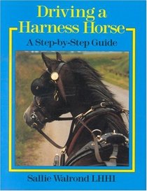 Driving a Harness Horse: A Step-By-Step Guide