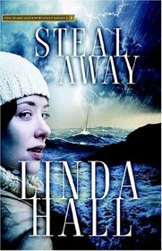 Steal Away (Teri Blake-Addison Mystery Series #1)