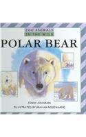 Polar Bear (Zoo Animals in the Wild)