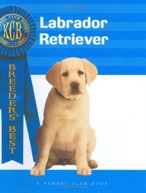 Labrador Retriever (Breeders' Best)