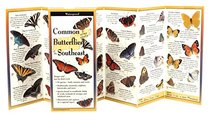 Common Butterflies of the Southeast: Folding Guide (Foldingguides)