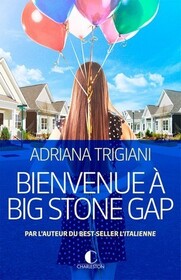 Bienvenue a Big Stone Gap (Big Stone Gap) (Big Stone Gap, Bk 1) (French Edition)