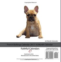 French Bulldogs Calendar 2017: 16 Month Calendar
