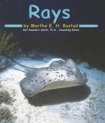 Rays (Ocean Life)