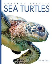 Amazing Animals: Sea Turtles