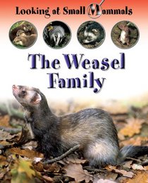 Weasels (Looking at Small Mammals)