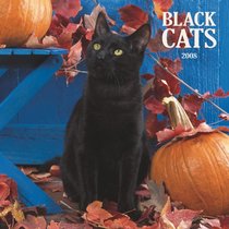 Black Cats 2008 Square Wall Calendar