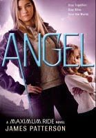 Angel (Maximum Ride, Bk 7) (Large Print)