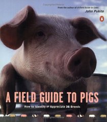 A Field Guide to Pigs