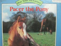 Pacer the Pony (How Your Pet Grows!)