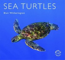 Sea Turtles (Worldlife Library) (Worldlife Library)