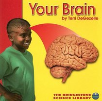 Your Brain (Your Body)