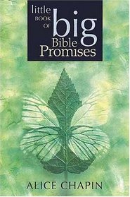 Little Book of Big Bible Promises (Little Book of Big Bible Promises)