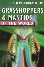Grasshoppers and Mantids of the World (Of the World Series)