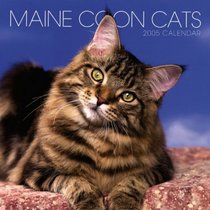 Maine Coon Cats 2005 Wall Calendar