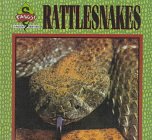Rattlesnakes (Fangs! An Imagination Library Series)
