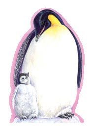 Penguins Notepad (Writeons)