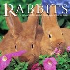 Rabbits 2008 Wall Calendar