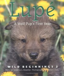 Lupe: A Wolf Cub's First Year (Wild Beginnings Series)