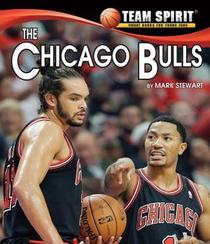 The Chicago Bulls (Team Spirit)