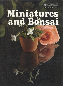 Miniatures and Bonsai