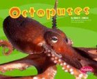 Octopuses (Pebble Plus)