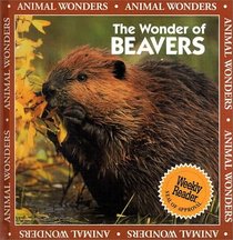 The Wonder of Beavers (Animal Wonders)