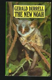 The New Noah (Lions)