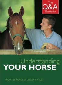 The Q&A Guide to Understanding Your Horse