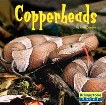Copperheads (World of Reptiles)