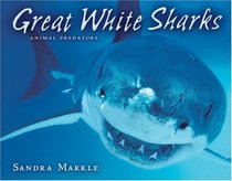 Great White Sharks (Animal Predators)