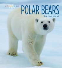 Polar Bears (Living Wild)