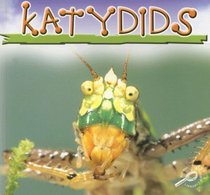 Katydids (Insects)