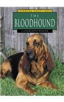 The Bloodhound (Learning About Dogs)