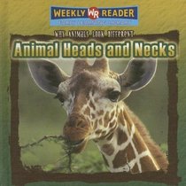 Animal Heads And Necks (Why Animals Look Different)
